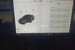 Thumbnail 15