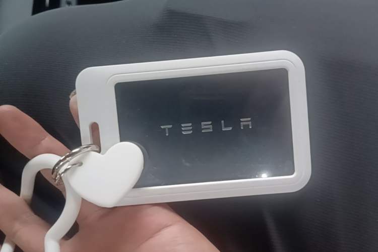 Used Tesla Model 3 2021 Standard Range Rear-Wheel Drive Upgraded Version 3D6 Interior 1