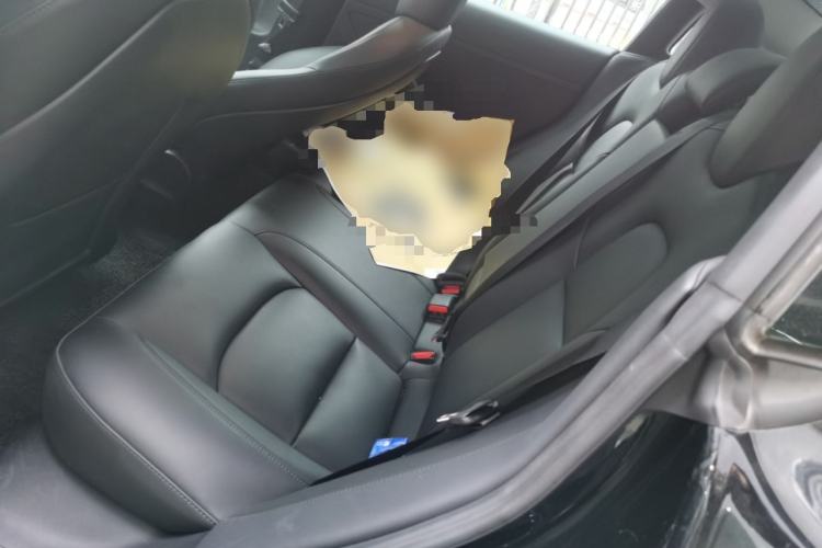 Used Tesla Model 3 2021 Standard Range Rear-Drive Upgraded Version Interior 4