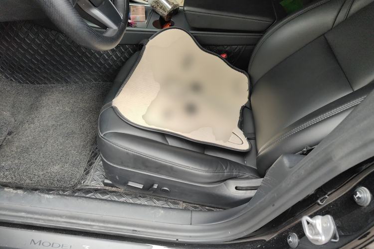 Used Tesla Model 3 2021 Revised Version Standard Range Rear-Wheel Drive Upgraded Edition 3D1