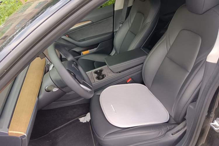 Used Tesla Model 3 2021 Standard Range Rear-Wheel Drive Upgraded Version 3D6 Left Front Seat