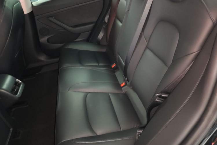Used Tesla Model 3 2021 Standard Range Rear-Drive Upgraded Version Left Rear Seat