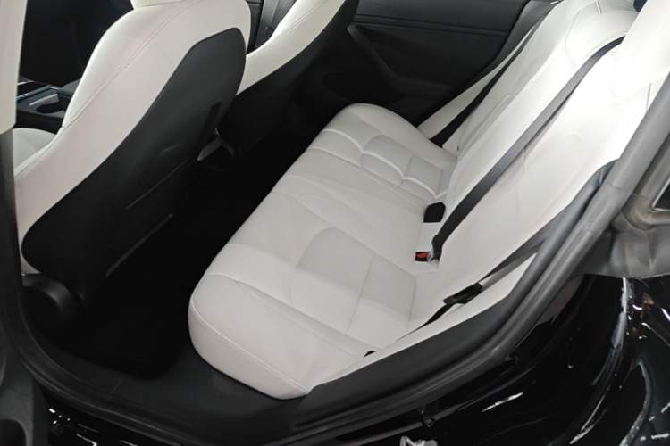 Used Tesla Model 3 2021 Revised Version Standard Range Rear-Wheel Drive Upgraded Edition 3D1 Left Rear Seat