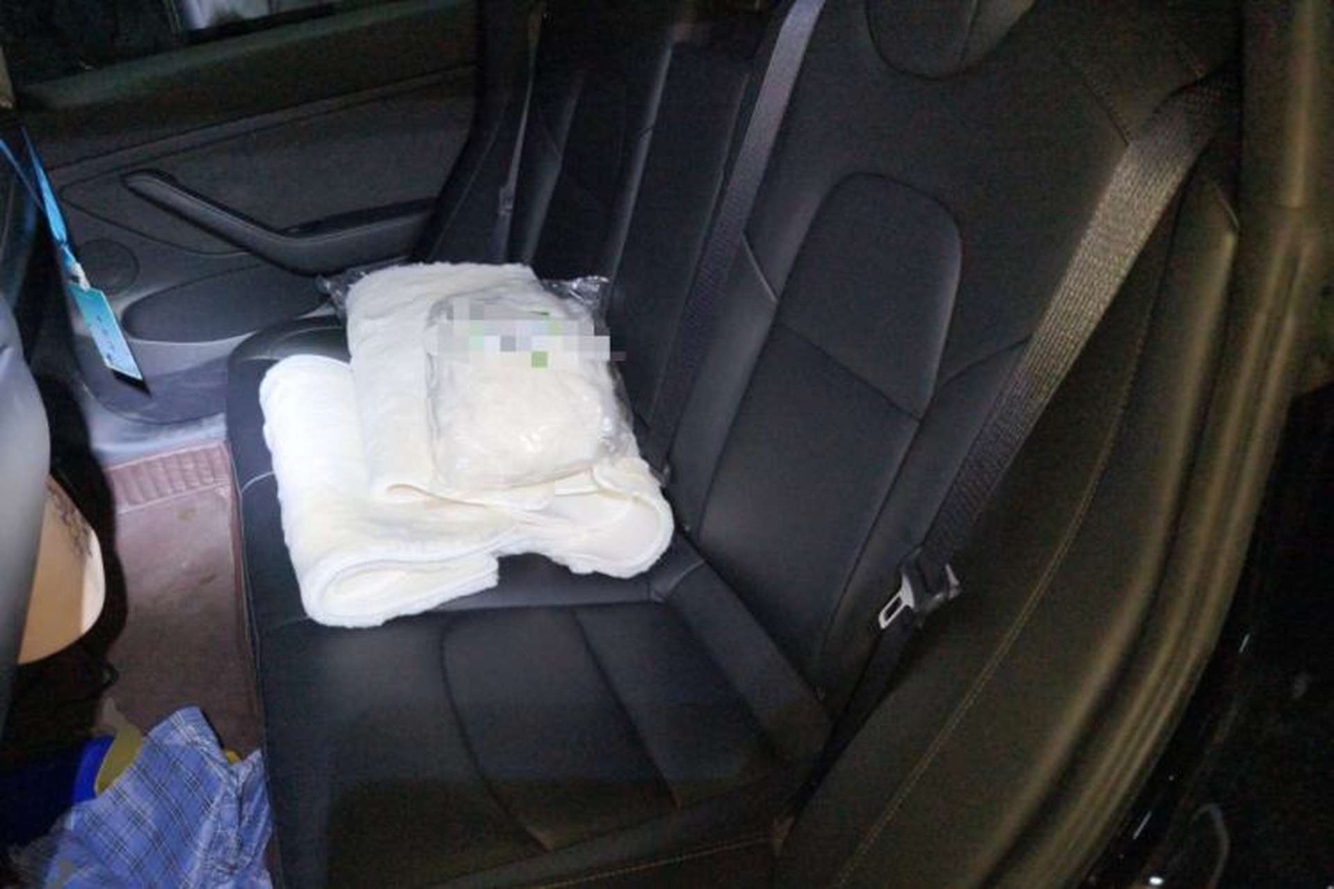 Used Tesla Model 3 2021 Standard Range Rear-Drive Upgraded Version Left Rear Seat
