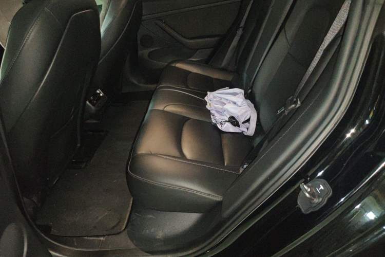 Used Tesla Model 3 2021 Revised Version II – Performance High-Performance All-Wheel-Drive Edition Left Rear Seat