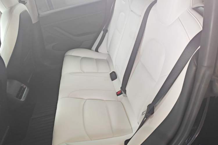 Used Tesla Model 3 2021 Standard Range Rear-Drive Upgraded Version Left Rear Seat