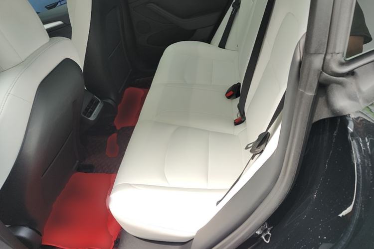 Used Tesla Model 3 2021 Revised Version Standard Range Rear-Wheel Drive Upgraded Edition 3D1 Left Rear Seat