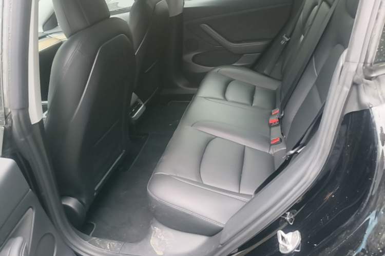 Used Tesla Model 3 2021 Performance High-Performance All-Wheel-Drive Version Left Rear Seat