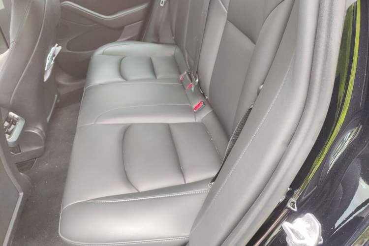 Used Tesla Model 3 2021 Standard Range Rear-Wheel Drive Upgraded Version 3D6 Left Rear Seat
