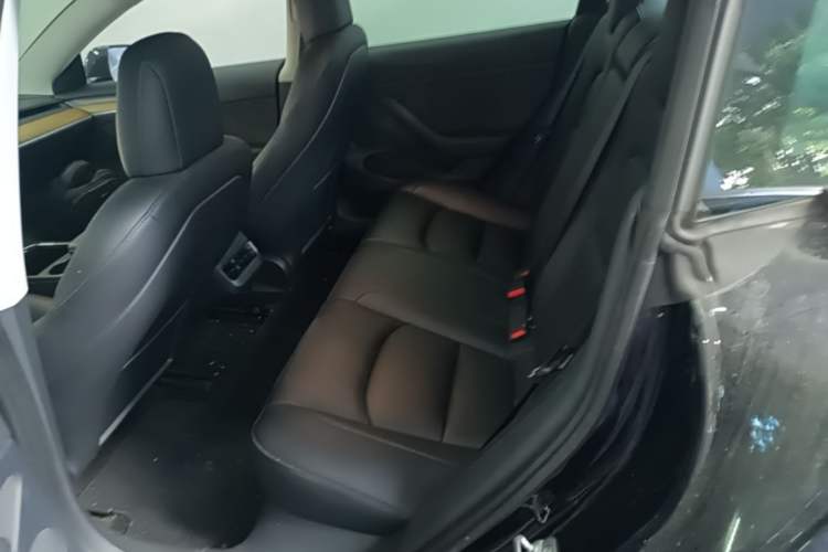 Used Tesla Model 3 2021 Revised Version II – Performance High-Performance All-Wheel-Drive Edition Left Rear Seat