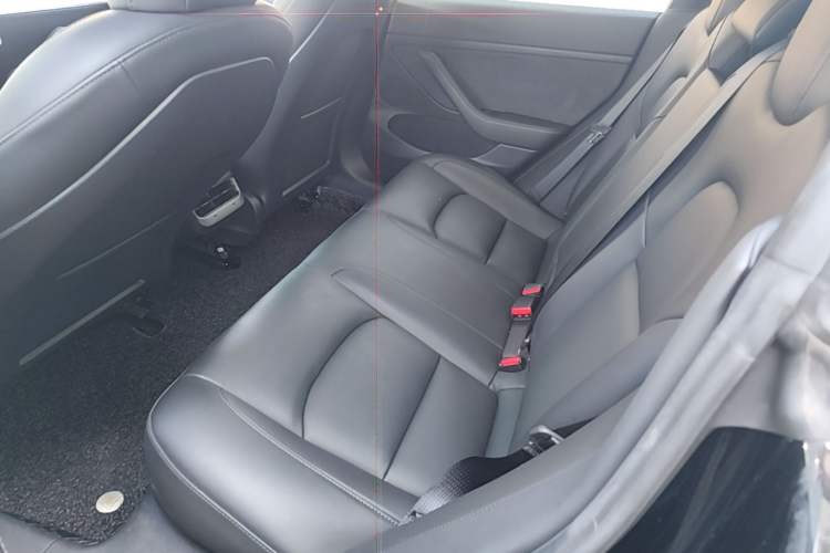 Used Tesla Model 3 2021 Performance High-Performance All-Wheel-Drive Version Left Rear Seat