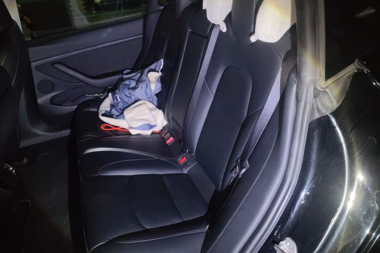 Used Tesla Model 3 2021 Performance High-Performance All-Wheel-Drive Version Left Rear Seat