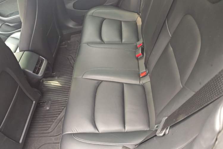 Used Tesla Model 3 2021 Revised Version II – Performance High-Performance All-Wheel-Drive Edition Left Rear Seat