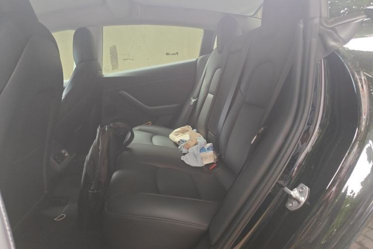 Used Tesla Model 3 2021 Revised Version II – Performance High-Performance All-Wheel-Drive Edition Left Rear Seat