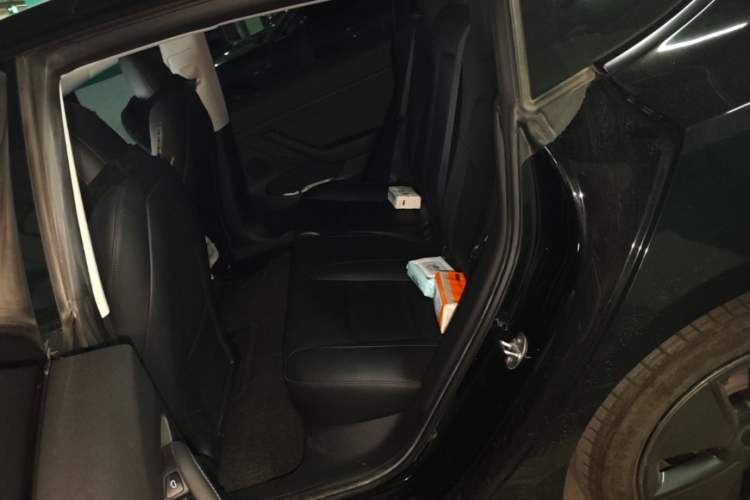 Used Tesla Model 3 2021 Revised Version Standard Range Rear-Wheel Drive Upgraded Edition 3D1 Left Rear Seat