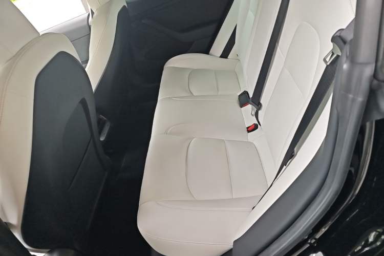 Used Tesla Model 3 2021 Performance High-Performance All-Wheel-Drive Version Left Rear Seat