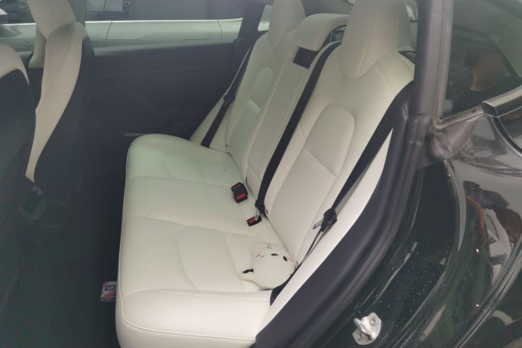 Used Tesla Model 3 2021 Performance High-Performance All-Wheel-Drive Version 3D6 Left Rear Seat