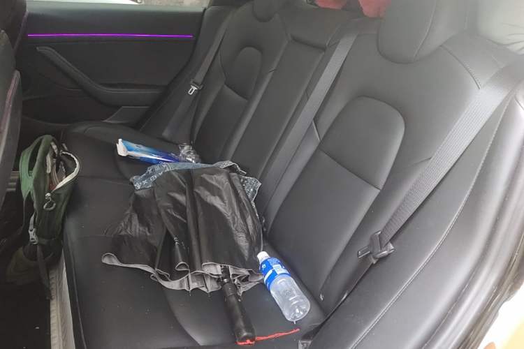 Used Tesla Model 3 2021 Performance High-Performance All-Wheel-Drive Version Left Rear Seat
