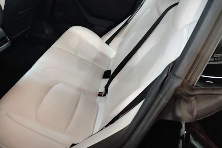 Used Tesla Model 3 2021 Performance High-Performance All-Wheel-Drive Version 3D6 Left Rear Seat