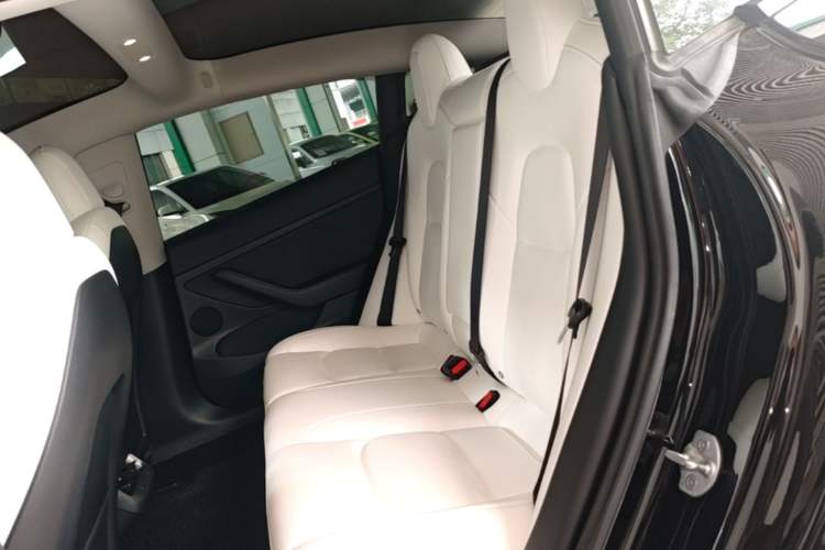Used Tesla Model 3 2021 Performance High-Performance All-Wheel-Drive Version 3D6 Left Rear Seat