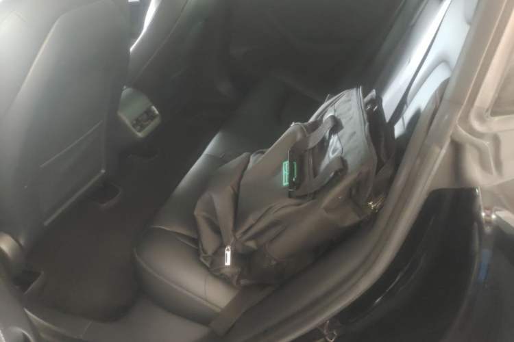 Used Tesla Model 3 2021 Standard Range Rear-Drive Upgraded Version Left Rear Seat