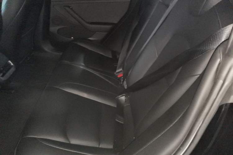 Used Tesla Model 3 2021 Standard Range Rear-Wheel Drive Upgraded Version 3D6 Left Rear Seat