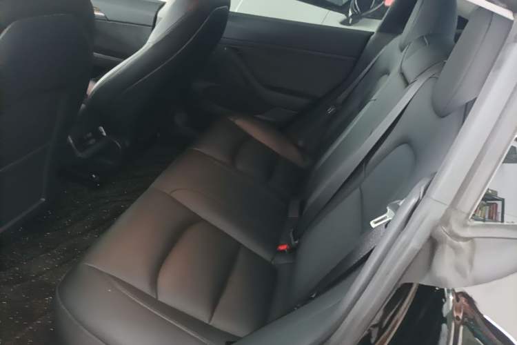 Used Tesla Model 3 2021 Revised Version Standard Range Rear-Wheel Drive Upgraded Edition 3D1 Left Rear Seat