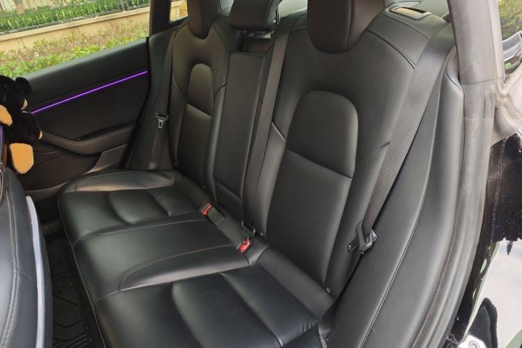 Used Tesla Model 3 2021 Performance High-Performance All-Wheel-Drive Version Left Rear Seat