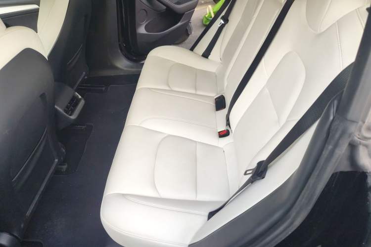 Used Tesla Model 3 2021 Performance High-Performance All-Wheel-Drive Version 3D6 Left Rear Seat