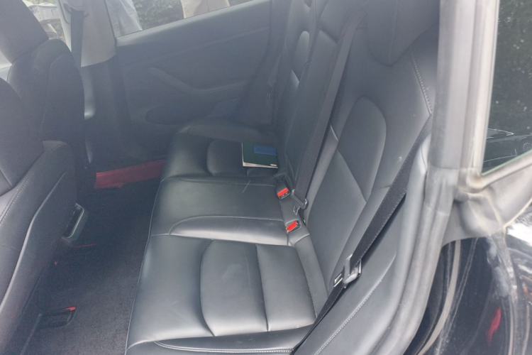 Used Tesla Model 3 2021 Performance High-Performance All-Wheel-Drive Version Left Rear Seat