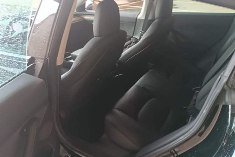 Used Tesla Model 3 2021 Performance High-Performance All-Wheel-Drive Version Left Rear Seat