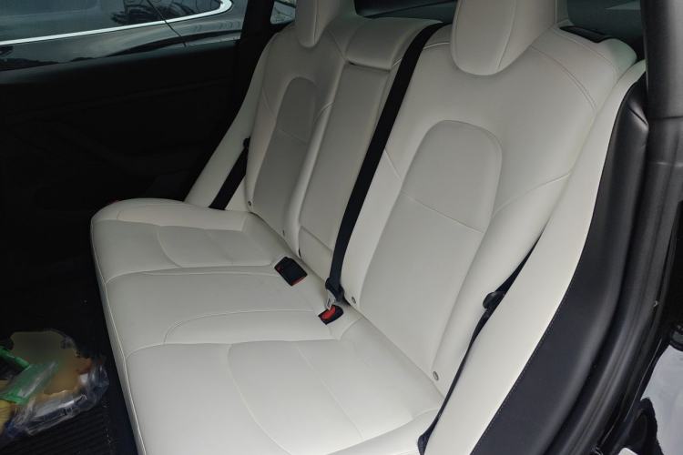 Used Tesla Model 3 2021 Performance High-Performance All-Wheel-Drive Version Left Rear Seat