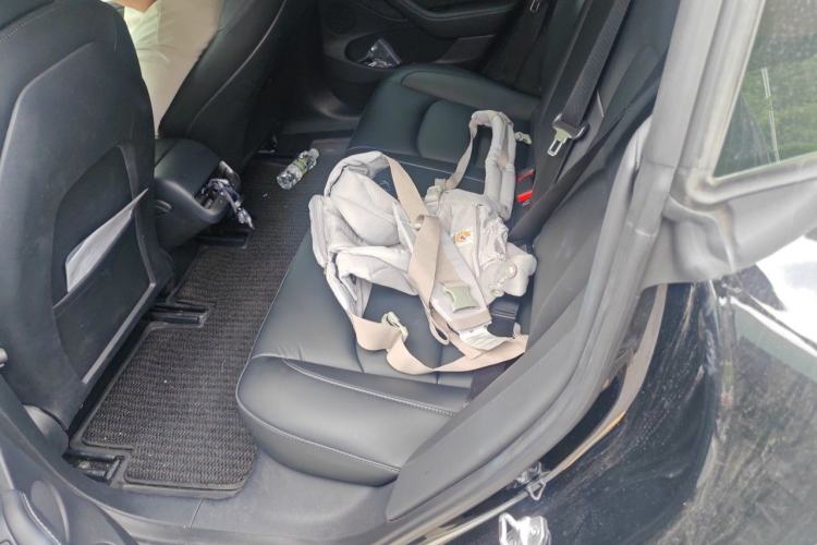 Used Tesla Model 3 2021 Performance High-Performance All-Wheel-Drive Version 3D6 Left Rear Seat