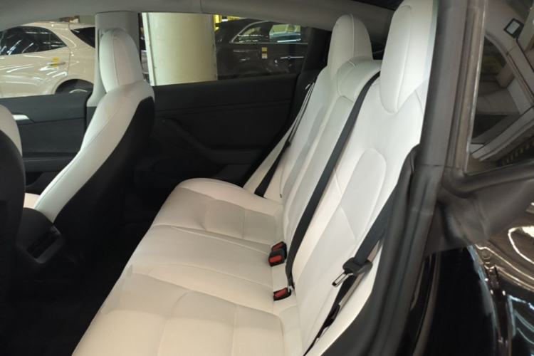 Used Tesla Model 3 2021 Standard Range Rear-Wheel Drive Upgraded Version 3D6 Left Rear Seat
