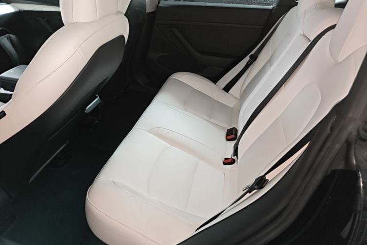 Used Tesla Model 3 2021 Performance High-Performance All-Wheel-Drive Version 3D6 Left Rear Seat