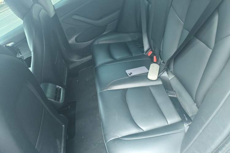 Used Tesla Model 3 2021 Standard Range Rear-Drive Upgraded Version Left Rear Seat