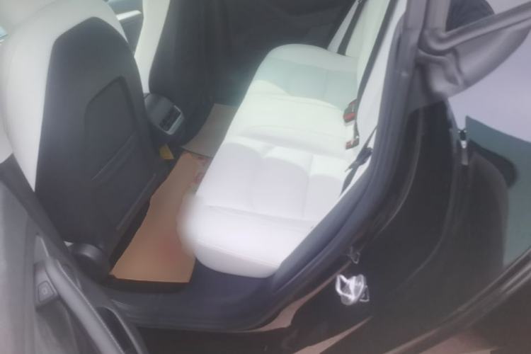 Used Tesla Model 3 2021 Performance High-Performance All-Wheel-Drive Version 3D6 Left Rear Seat