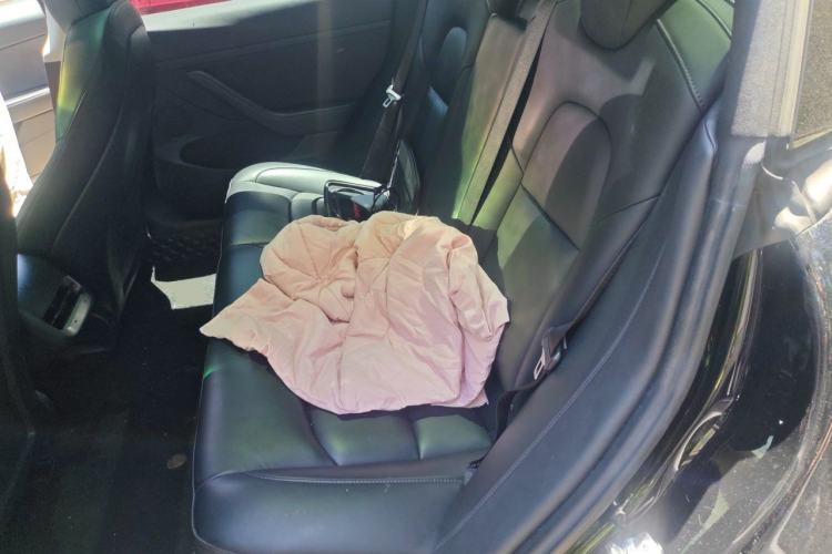 Used Tesla Model 3 2021 Standard Range Rear-Wheel Drive Upgraded Version 3D6 Left Rear Seat
