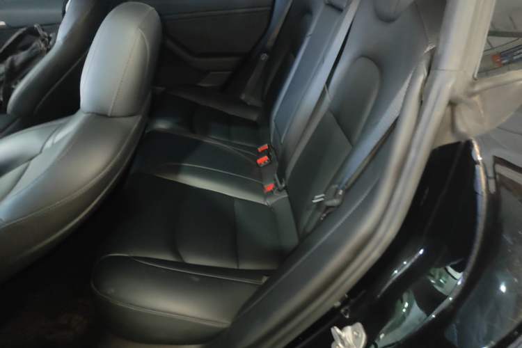 Used Tesla Model 3 2021 Standard Range Rear-Wheel Drive Upgraded Version 3D6 Left Rear Seat