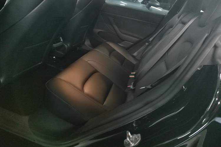 Used Tesla Model 3 2021 Standard Range Rear-Drive Upgraded Version Left Rear Seat