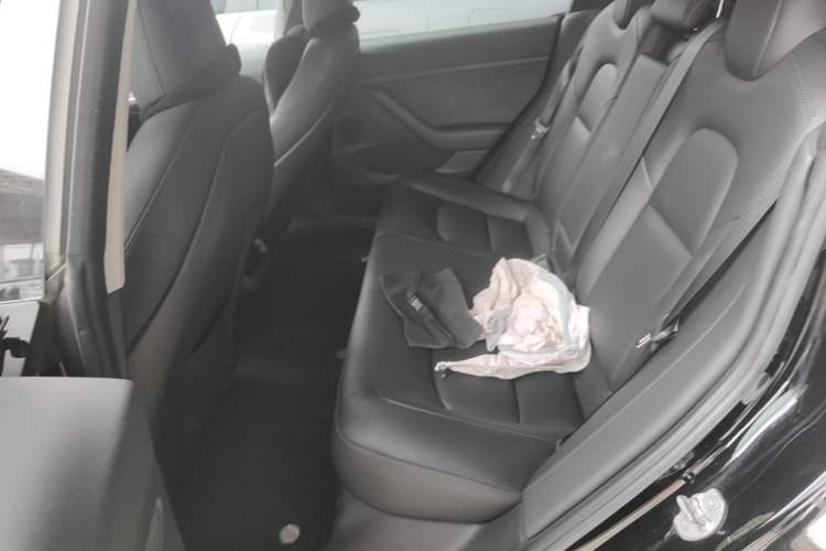 Used Tesla Model 3 2021 Standard Range Rear-Drive Upgraded Version Left Rear Seat
