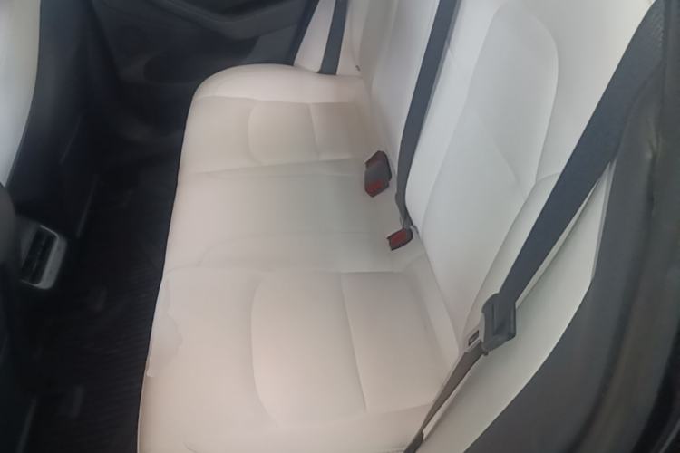 Used Tesla Model 3 2021 Revised Version II – Performance High-Performance All-Wheel-Drive Edition Left Rear Seat