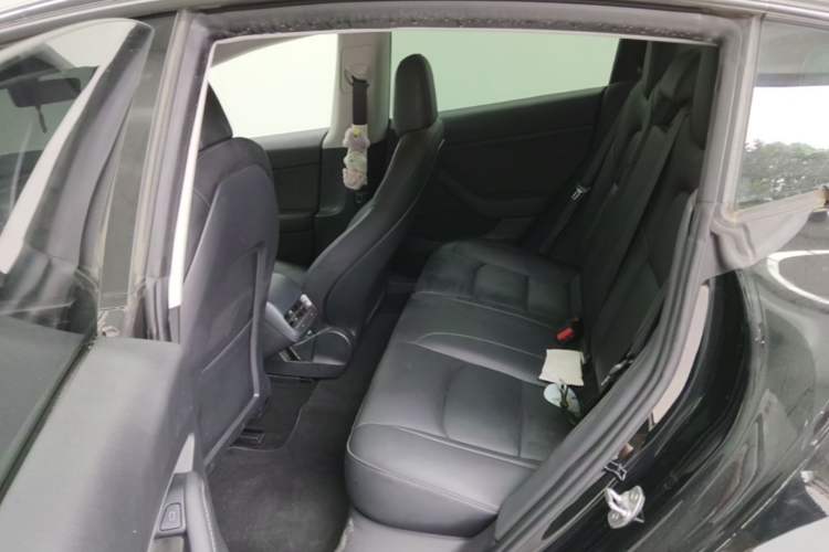 Used Tesla Model 3 2021 Performance High-Performance All-Wheel-Drive Version Left Rear Seat