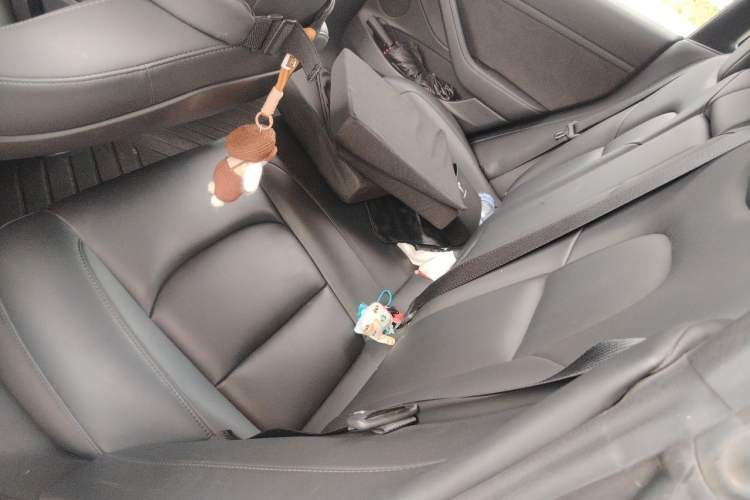 Used Tesla Model 3 2021 Standard Range Rear-Wheel Drive Upgraded Version 3D6 Left Rear Seat