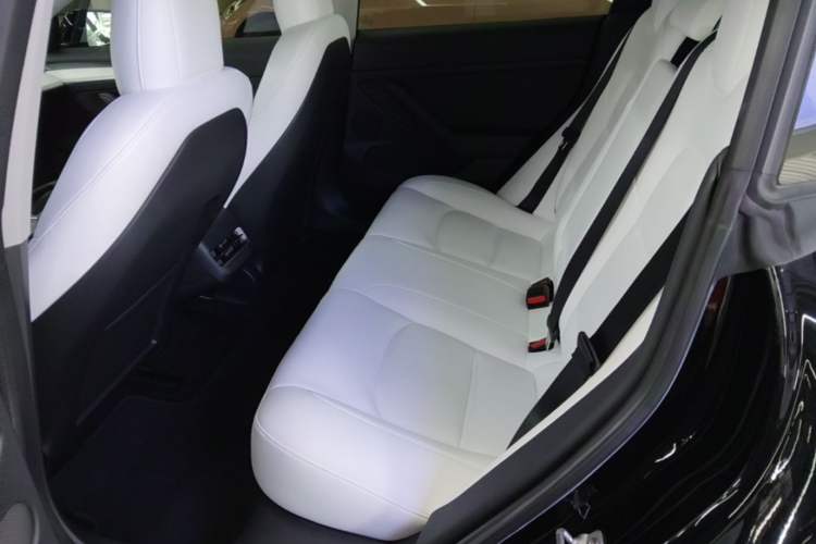 Used Tesla Model 3 2021 Performance High-Performance All-Wheel-Drive Version 3D6 Left Rear Seat