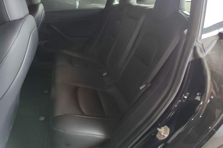 Used Tesla Model 3 2021 Revised Performance Version with All-Wheel Drive 3D1 Left Rear Seat