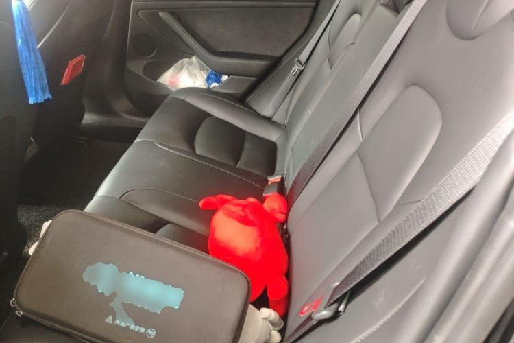 Used Tesla Model 3 2021 Standard Range Rear-Drive Upgraded Version Left Rear Seat