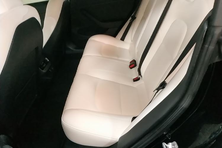 Used Tesla Model 3 2021 Performance High-Performance All-Wheel-Drive Version Left Rear Seat