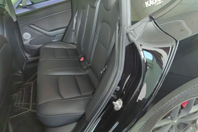 Used Tesla Model 3 2021 Revised Performance Version with All-Wheel Drive 3D1 Left Rear Seat