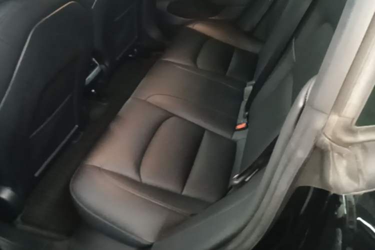 Used Tesla Model 3 2021 Revised Performance Version with All-Wheel Drive 3D1 Left Rear Seat